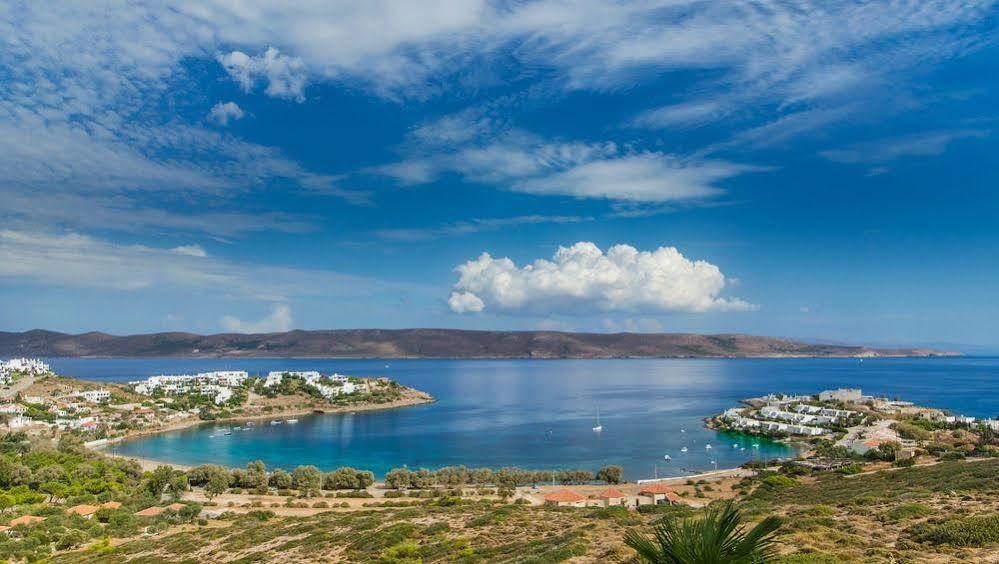Sounio Villa بيرايوس المظهر الخارجي الصورة